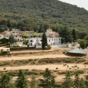 pantallarectoc-768x407